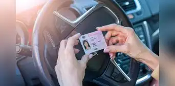 Florida: recaudador de impuestos de Miami-Dade planea visitar oficinas de licencias de conducir para evaluar operaciones