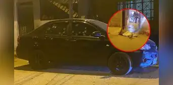 Balacera en SJM: más de 20 disparos contra auto deja dos muertos por presunta disputa de bandas proxenetas