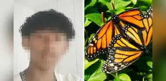 Adolescente muere tras inyectarse restos de mariposas: Policía de Brasil investiga si fue por reto viral Adolescente muere tras inyectarse restos de mariposas: Policía de Brasil investiga si fue por reto viral