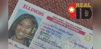 Real ID 2025: la medida de Illinois para que todos en el estado puedan solicitar el documento Real ID 2025: la medida de Illinois para que todos en el estado puedan solicitar el documento