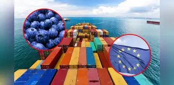 Exportaciones peruanas de frutas y hortalizas a la Unión Europea registran récord de US$2.400 millones Exportaciones peruanas de frutas y hortalizas a la Unión Europea registran récord de US$2.400 millones