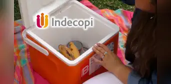 Indecopi alerta que más de 1.000 coolers de esta marca podrían amputar los dedos por asa defectuosa para quien lo manipule en Perú