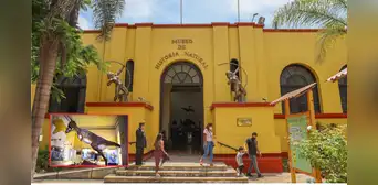 Este museo alberga la colección biológica más grande del Perú y le pertenece a una universidad pública Este museo alberga la colección biológica más grande del Perú y le pertenece a una universidad pública