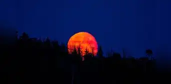 ‘Luna de Sangre’ en Estados Unidos: cuándo es y cómo ver el eclipse de luna total el fenómeno astronómico este 2025 ‘Luna de Sangre’ en Estados Unidos: cuándo es y cómo ver el eclipse de luna total el fenómeno astronómico este 2025