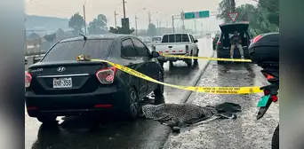 El Agustino: cirujano plástico es asesinado a balazos tras ser interceptado en plena av. Ramiro Prialé