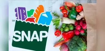 Pagos SNAP en Texas: consulta quiénes reciben los beneficios del programa en la última semana de febrero de 2025 y cómo verificar tu fecha Pagos SNAP en Texas: consulta quiénes reciben los beneficios del programa en la última semana de febrero de 2025 y cómo verificar tu fecha