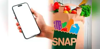 Beneficiarios de SNAP: cuáles son los estados que incluyen teléfonos gratis dentro de los beneficios para usuarios con cupones de alimentos Beneficiarios de SNAP: cuáles son los estados que incluyen teléfonos gratis dentro de los beneficios para usuarios con cupones de alimentos