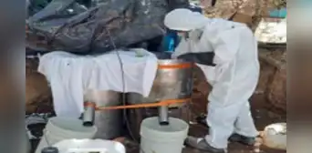 Golpe al narcotráfico en México: autoridades desmantelan 27 laboratorios clandestinos en menos de 48 horas