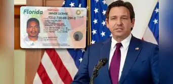 ¿Adiós licencia de conducir para inmigrantes en Florida? Proyecto de ley de Ron DeSantis afectaría a este grupo de personas