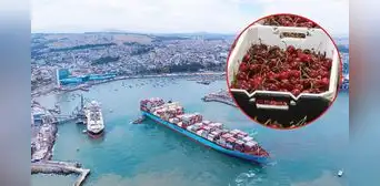 China frena importación de cerezas chilenas: 1.300 contenedores en riesgo de ser rechazados por "malas condiciones" China frena importación de cerezas chilenas: 1.300 contenedores en riesgo de ser rechazados por "malas condiciones"