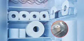¿Por qué debes colocar el papel higiénico en el refrigerador? El truco de pocos conocen y resuelve un gran problema