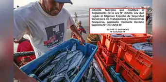 MEF ajusta beneficios para pescadores: esto es lo que debes saber MEF ajusta beneficios para pescadores: esto es lo que debes saber