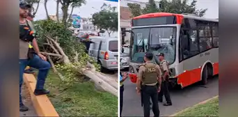 Accidente en la avenida Venezuela: bus del Corredor Rojo se despista y choca contra un árbol Accidente en la avenida Venezuela: bus del Corredor Rojo se despista y choca contra un árbol