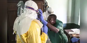Desconocida enfermedad en el Congo mata a más de 50 personas: fue descubierta en niños que comieron murciélagos Desconocida enfermedad en el Congo mata a más de 50 personas: fue descubierta en niños que comieron murciélagos