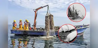 Más controles, mismos problemas: Produce no soluciona el caos en la pesca artesanal