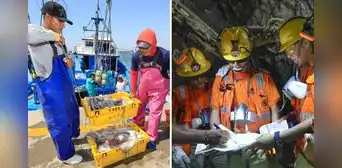 Producción de pesca, minería e hidrocarburos creció en enero: ¿qué factores impulsaron el resultado?