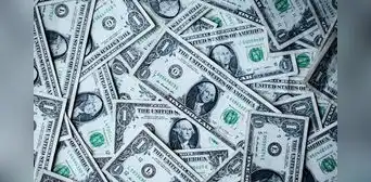¡Atención! Qué tipos de monedas hay en Estados Unidos y cómo puedes identificar billetes falsos ¡Atención! Qué tipos de monedas hay en Estados Unidos y cómo puedes identificar billetes falsos
