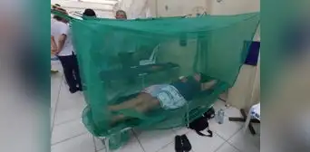 San Martín es la región con más casos y muertos por dengue tipo 3 San Martín es la región con más casos y muertos por dengue tipo 3