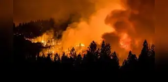 Qué medidas debo tomar si fui afectado por los incendios forestales de 'las Carolinas' de Estados Unidos Qué medidas debo tomar si fui afectado por los incendios forestales de 'las Carolinas' de Estados Unidos