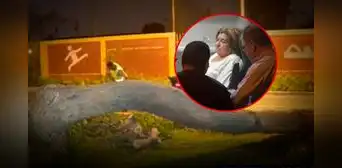 Mujer salva de morir luego de que árbol cayera encima de su auto en movimiento en San Borja
