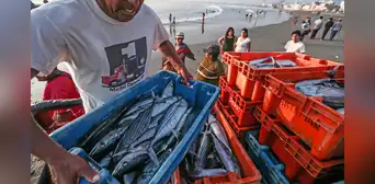 Pescadores destacan promulgación del reglamento de la Ley N° 31749 de la Pesca Artesanal