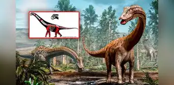 Descubren dos nuevas especies de dinosaurio en Rumania: conexiones con parientes en Sudamérica, África y Asia