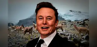 DOGE de Elon Musk cancela casi US$ 1 millón en subvenciones de Estados Unidos para cría de alpacas en Perú