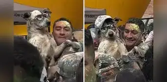 Captan a can celebrando los carnavales en Cajamarca y usuarios bromean: “La está pasando 'perrón'”