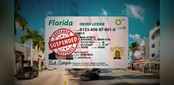 FLHSMV y los pasos que deben seguir los conductores de Florida para verificar si tienen la licencia suspendida