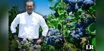 El ingeniero de la UNALM que con solo S/1.000 logró volver al Perú en potencia mundial en exportación de arándanos y superó a Chile El ingeniero de la UNALM que con solo S/1.000 logró volver al Perú en potencia mundial en exportación de arándanos y superó a Chile