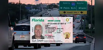 FLHSMV: así podrás renovar tu licencia de conducir en Florida online y presencial este 2025