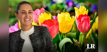 Sheinbaum rechaza que un tulipán en Países Bajos lleve su nombre y pide bautizarlo en honor a las mujeres indígenas de México