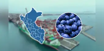 Trump y los aranceles al agro: "No está claro a qué productos agrícolas se les impondrá", indica Diego Macera Trump y los aranceles al agro: "No está claro a qué productos agrícolas se les impondrá", indica Diego Macera