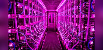 Este país de Europa creó una 'granja futurista' en la que cultivan diminutos y antiguos organismos acuáticos