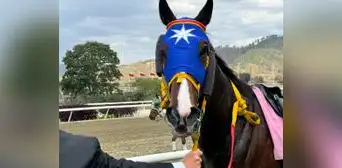 Cuánto pagó el 5y6 Hipódromo La Rinconada HOY, 9 de marzo: monto de los cuadros con 6 aciertos y dividendos de las carreras Cuánto pagó el 5y6 Hipódromo La Rinconada HOY, 9 de marzo: monto de los cuadros con 6 aciertos y dividendos de las carreras