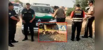 Acribillan a hombre tras salir de palo cilulo en Trujillo Acribillan a hombre tras salir de palo cilulo en Trujillo