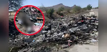 Hallan más de 70 cuerpos de gatos y perros muertos por envenenamiento en Hermosillo, México: algunos cadáveres estaban quemados Hallan más de 70 cuerpos de gatos y perros muertos por envenenamiento en Hermosillo, México: algunos cadáveres estaban quemados
