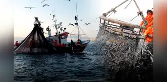 Pescadores rechazan proyecto en el Congreso contra Reglamento de la Ley 31749