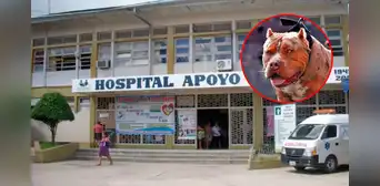 Docente pierde la mitad del cuero cabelludo tras ataque de pitbull y queda en UCI: intentaron sobornarla para que no denuncie Docente pierde la mitad del cuero cabelludo tras ataque de pitbull y queda en UCI: intentaron sobornarla para que no denuncie