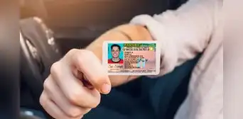 Licencia de conducir en Florida: las personas que están exentas de dar examen para obtener el documento en The Sunshine State Licencia de conducir en Florida: las personas que están exentas de dar examen para obtener el documento en The Sunshine State
