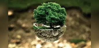 Viviendas sostenibles: la revolución en la construcción que el planeta necesita Viviendas sostenibles: la revolución en la construcción que el planeta necesita