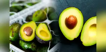 Este país de Sudamérica lidera el consumo palta en la región y ocupa el segundo lugar en el mundo: no es Perú