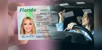 Licencia de conducir en Florida: estas son las personas que no necesitarán dar el examen de conducir, según FLHSMV Licencia de conducir en Florida: estas son las personas que no necesitarán dar el examen de conducir, según FLHSMV