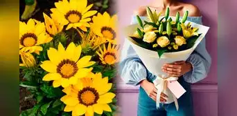 Significado de las flores amarillas y por qué se deben regalar este 21 de marzo Significado de las flores amarillas y por qué se deben regalar este 21 de marzo