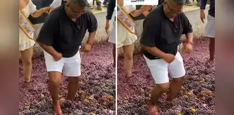 Usuarios se sorprenden al ver a ‘Choca’ pisando uvas para la preparación de vino: "Bien sazonado" Usuarios se sorprenden al ver a ‘Choca’ pisando uvas para la preparación de vino: "Bien sazonado"