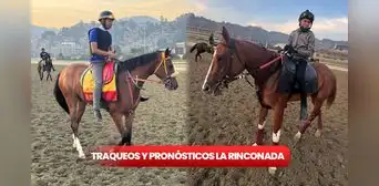 Datos de última hora 5y6 La Rinconada EN VIVO HOY, 16 de marzo: resultados de Gaceta Hípica y Grupo Cordialito para la R09 Datos de última hora 5y6 La Rinconada EN VIVO HOY, 16 de marzo: resultados de Gaceta Hípica y Grupo Cordialito para la R09