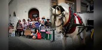 "No a los carruajes con caballo": colectivo busca frenar microsistema de transporte de la MML de S/14 millones "No a los carruajes con caballo": colectivo busca frenar microsistema de transporte de la MML de S/14 millones