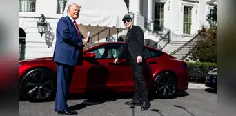 ¿Qué le pasa a Tesla de Elon Musk? Todo sobre la fuerte caída de sus ventas globales y las actividades políticas que afectan su valor