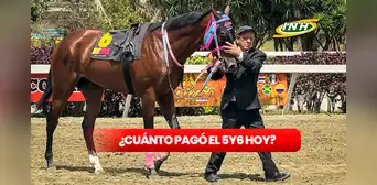 Cuánto pagó el 5y6 de hoy en La Rinconada: el monto sellado del 16 marzo supera los 50 millones de bolívares venezolanos