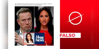 Elon Musk no compró Fox News para despedir a conductora Emily Compagno por declaraciones contra Tesla Elon Musk no compró Fox News para despedir a conductora Emily Compagno por declaraciones contra Tesla